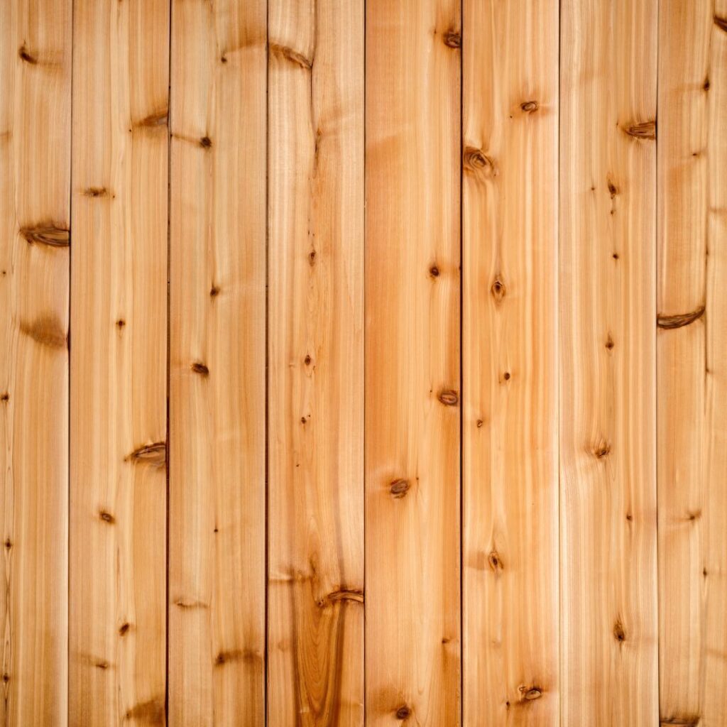 cedar